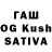 Псилоцибиновые грибы Psilocybine cubensis BES 5